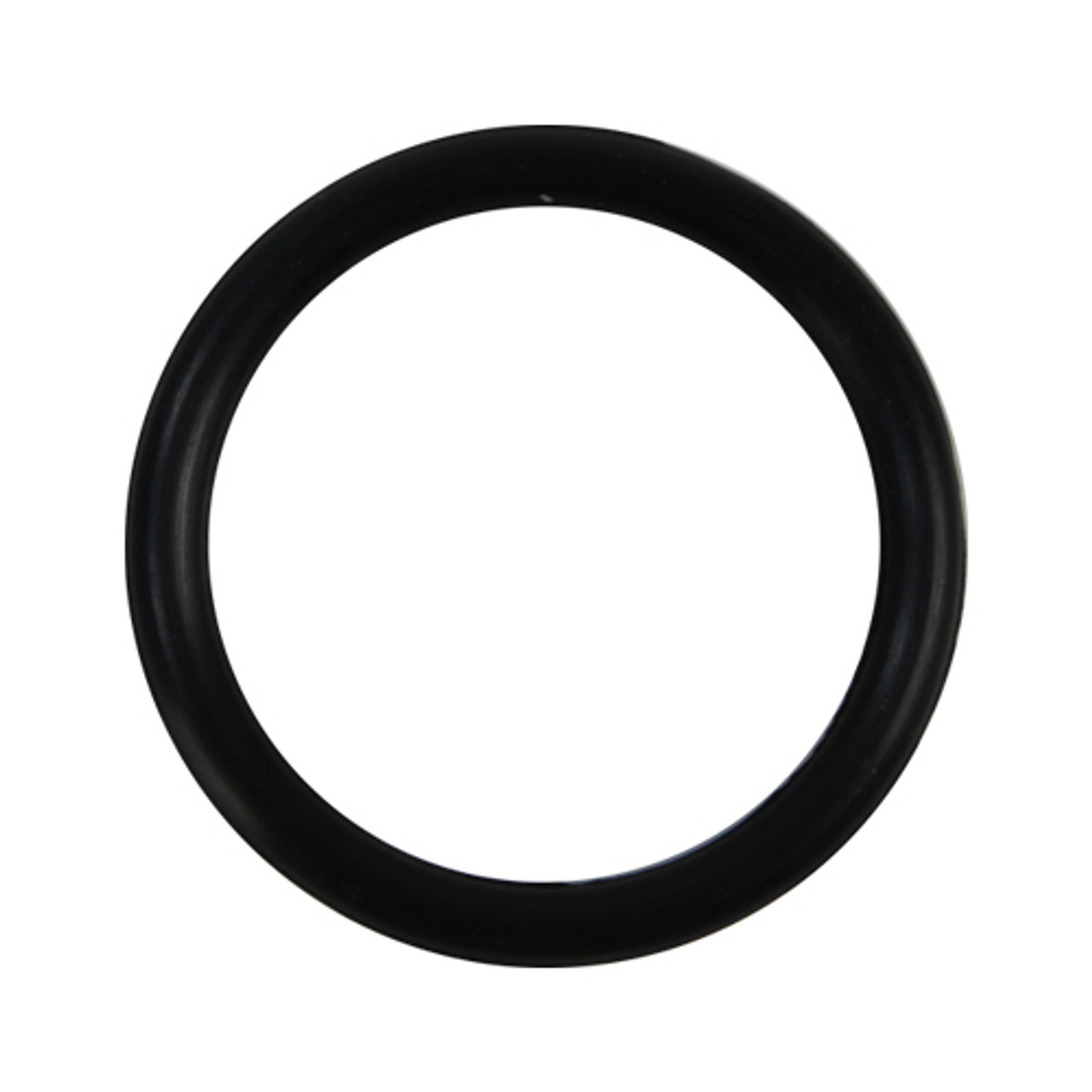 108443 - Champion - O-Ring