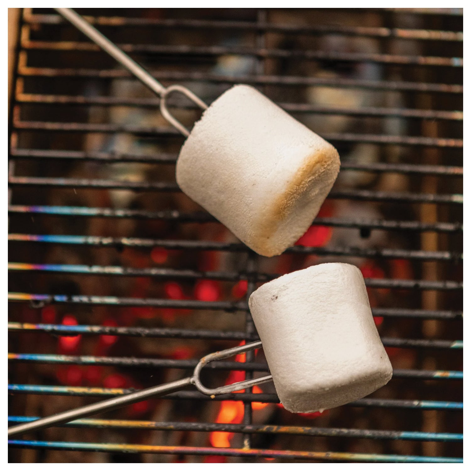 Uco Roasting Forks - Set of 2 for Perfect Outdoor Cooking