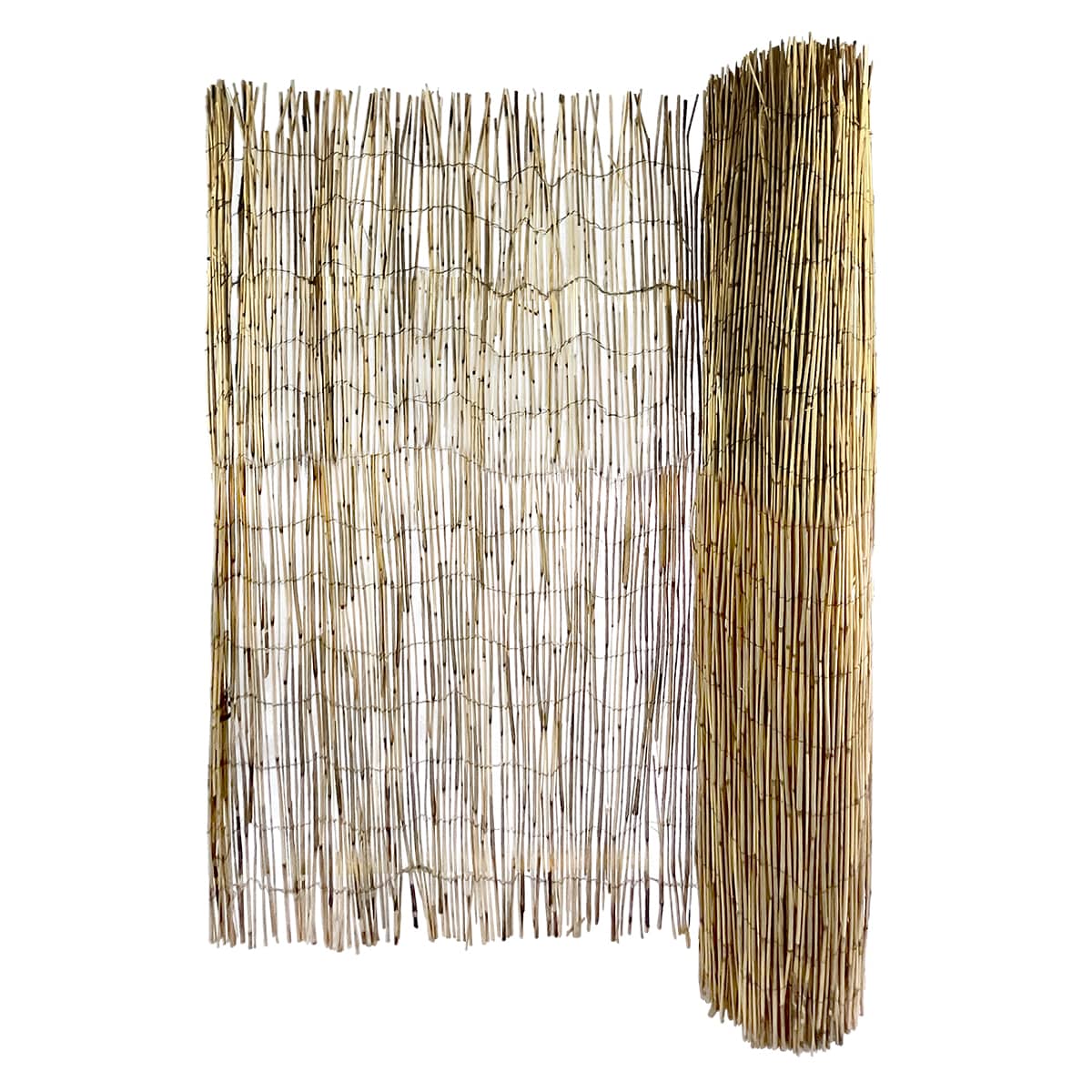 Garden Craft 8x4 FT Bamboo Reed Fencing - Light Brown, Durable & Versatile