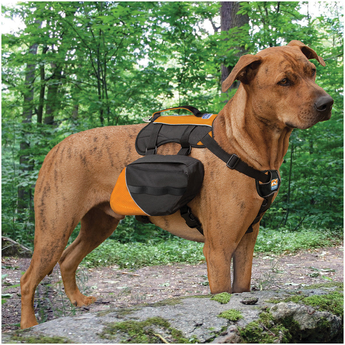 Kurgo Baxter Pack Black/Orange Dog Backpack - Perfect for Outdoor Adventures!