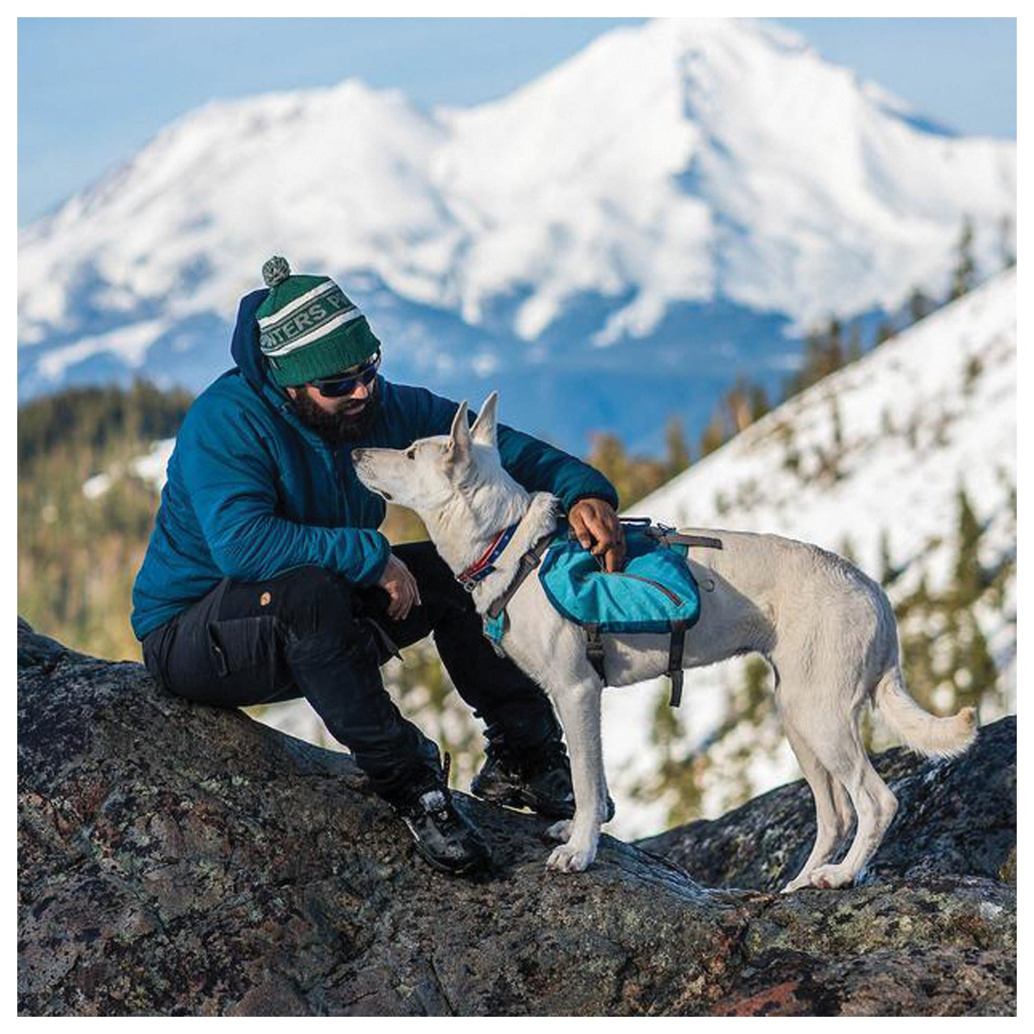 Kurgo Big Baxter Backpack in Stylish Blue - Perfect for Hiking and Traveling with Your Pup!