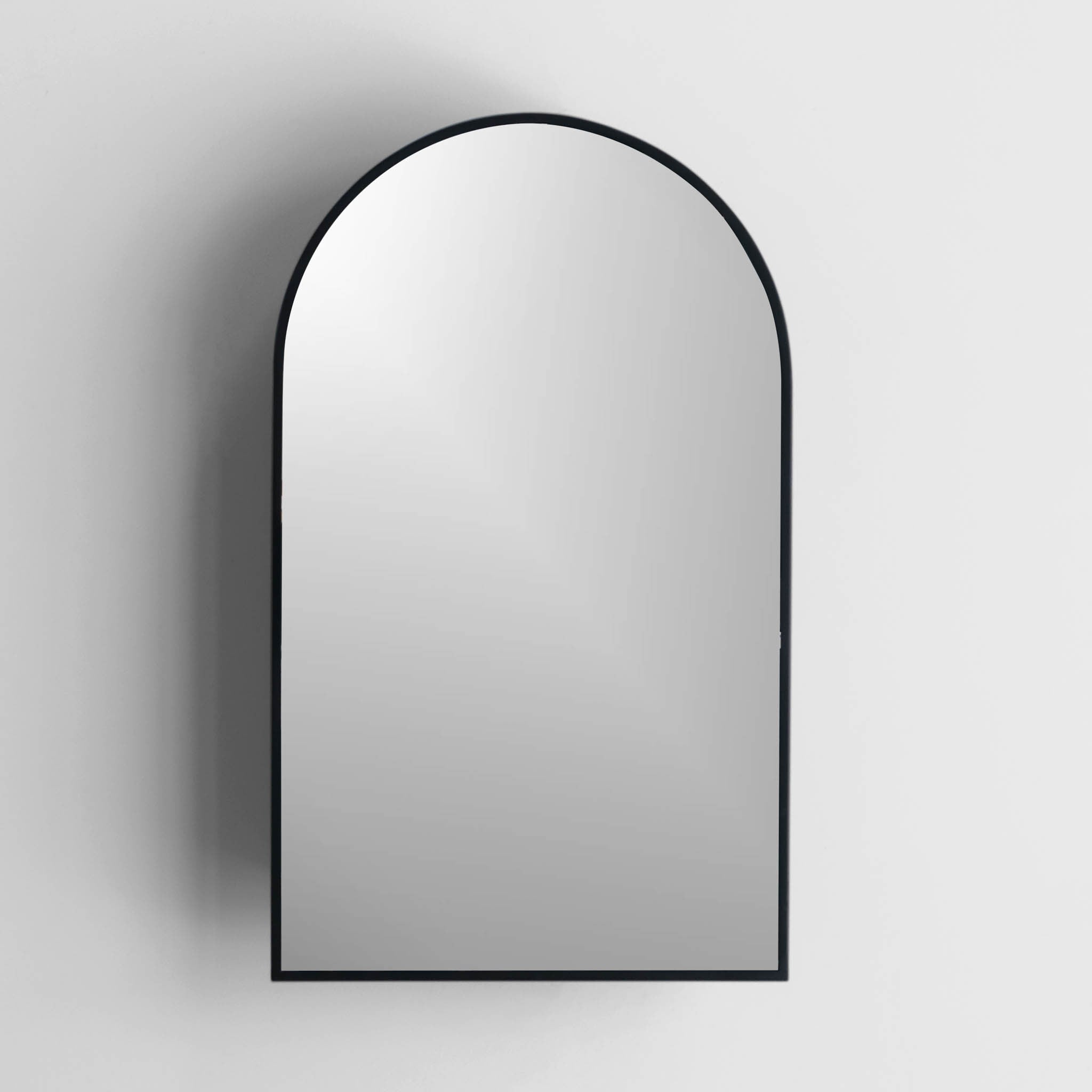 18-in x 30-in Surface Mount Black Mirrored Arched Medicine Cabinet
