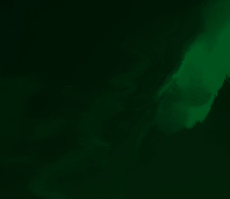 Black Stallion Saf-Vu Shade 8 14 Mil Vinyl Welding Curtain