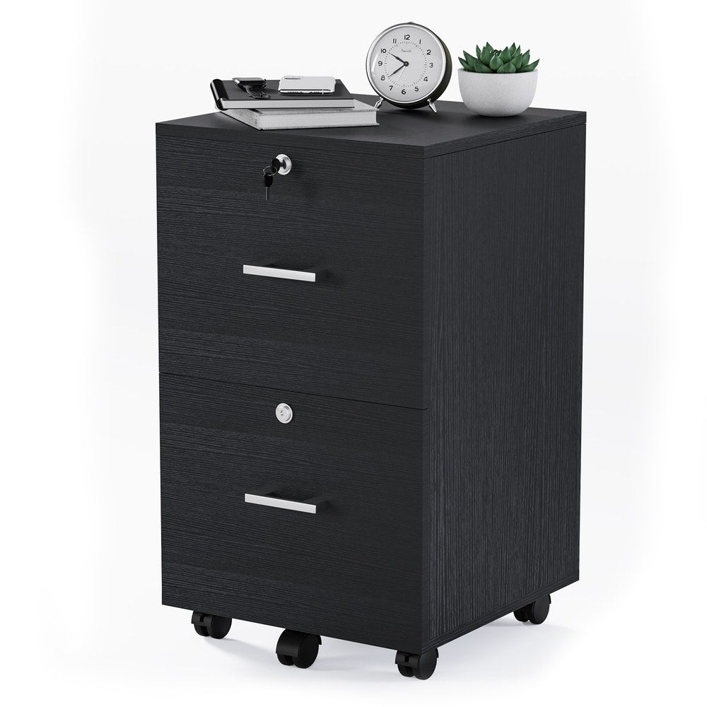 Winado Black 2-Drawer 15.75-in File Cabinet