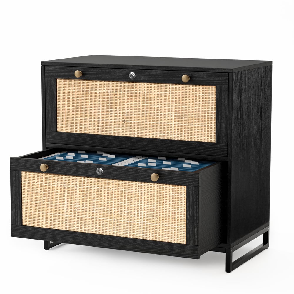 Winado Black 2-Drawer 29.53-in File Cabinet