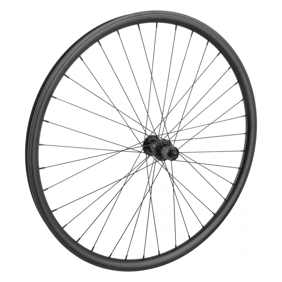 Wheel Master 700C/29in Alloy Hybrid/Comfort Disc Double Wall 700C RR W/M J25SG CL/6B