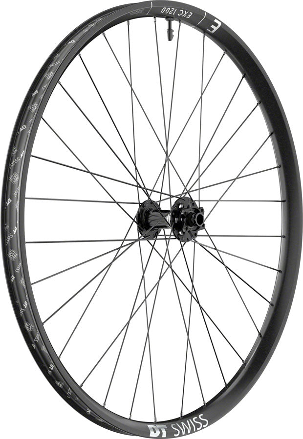 DT Swiss EXC 1200 Classic Front Wheel - 29", 15 x 110mm, 6-Bolt, Black