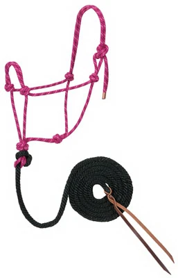 Horse Halter In Raspberry And Black, One Half Inch By Ten Feet