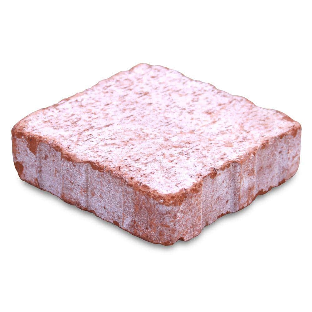 Pacific Clay Relic 6 in. x 1.63 in. x 6 in. Clay Cabrillo Paver